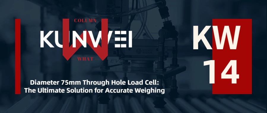 Diameter 75mm Through Hole Load Cell: The Ultimate Solution for Accurate Weighing